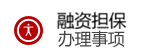 融资担保办理事项