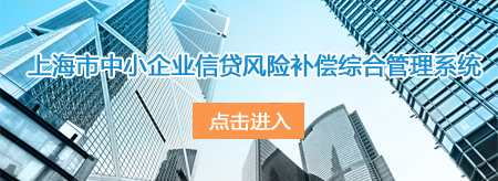 上海市中小企业信贷风险补偿综合管理系统