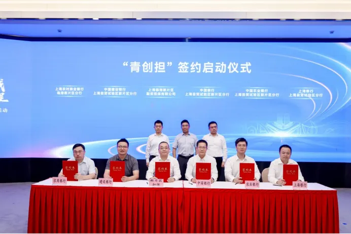 临港3.png